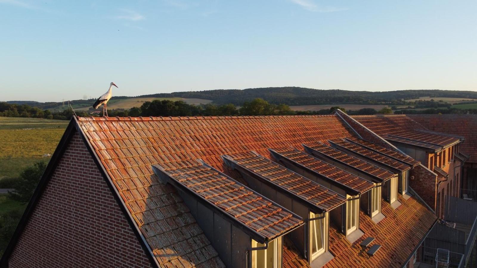 Biohotel Stiftsgut Wilhelmsgluecksbrunn Creuzburg Ngoại thất bức ảnh
